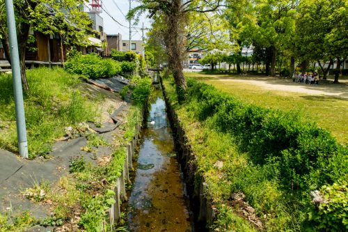 外馬場公園