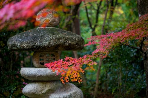 金剛輪寺の紅葉-1