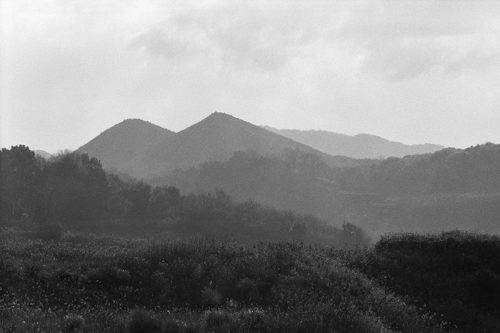 ボタ山跡と思われる山