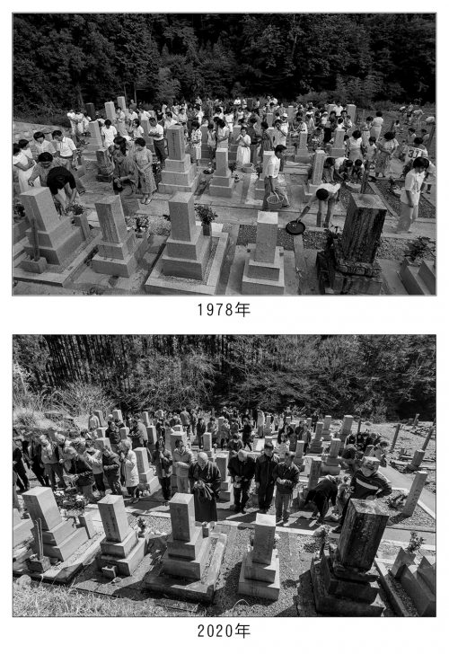 墓地の全景の比較