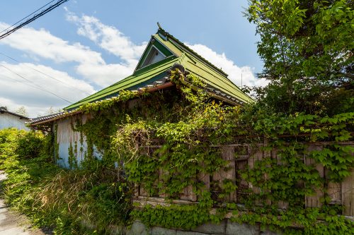 彦根市の茅葺き-001