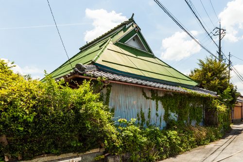 彦根市の茅葺き-001