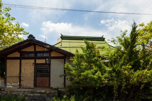 彦根市の茅葺き-001