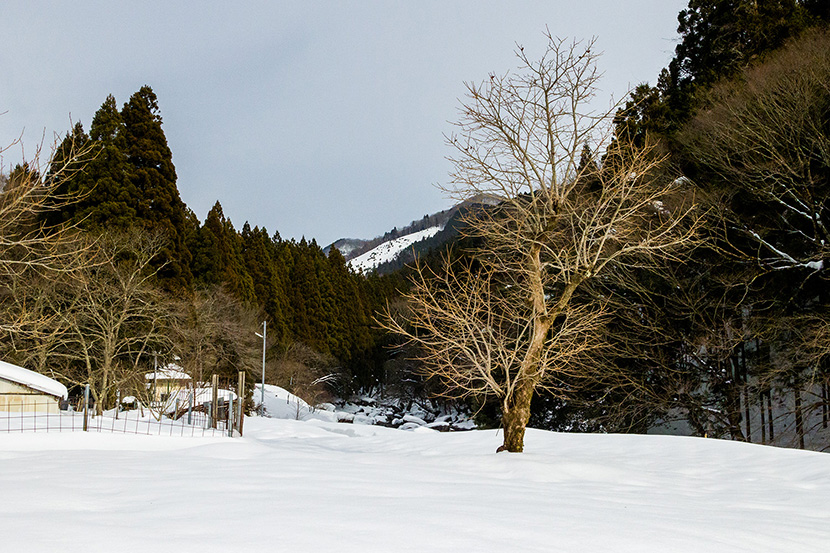 雪の奥永源寺風景